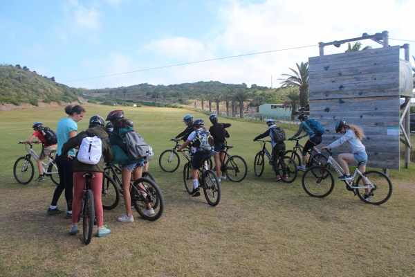 International Summer Camp